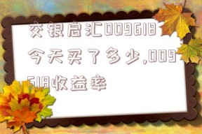 交银启汇009618今天买了多少,009618收益率