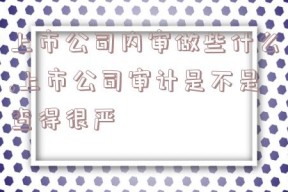 上市公司内审做些什么,上市公司审计是不是查得很严