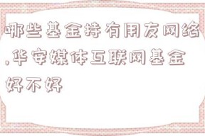 哪些基金持有用友网络,华安媒体互联网基金好不好