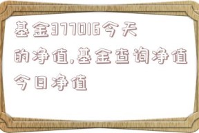 基金377016今天的净值,基金查询净值今日净值