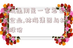 国机通用是一家怎么样的企业,林海集团与林海股份