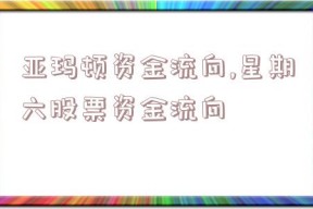 亚玛顿资金流向,星期六股票资金流向