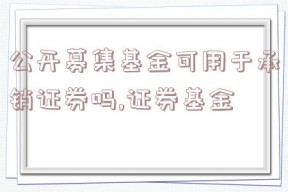 公开募集基金可用于承销证券吗,证券基金