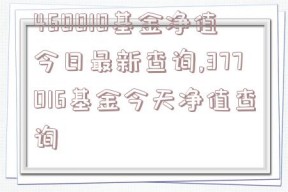 460010基金净值今日最新查询,377016基金今天净值查询