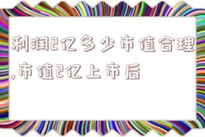 利润2亿多少市值合理,市值2亿上市后