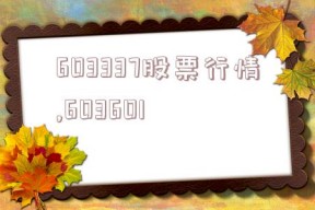 603337股票行情,603601