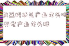 凯盛科技是产业龙头吗,养老产业龙头股