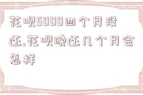 花呗5000四个月没还,花呗晚还几个月会怎样