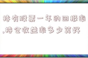 持有股票一年的回报率,持仓收益率多少算好