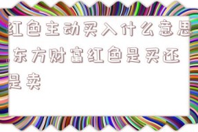 红色主动买入什么意思,东方财富红色是买还是卖