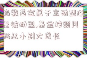 指数基金属于主动型还是被动型,基金按照风险从小到大成长