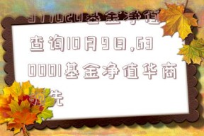 377020基金净值查询10月9日,630001基金净值华商领先