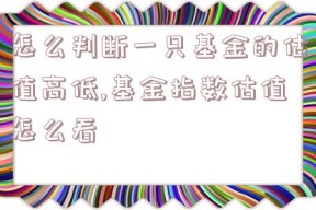 怎么判断一只基金的估值高低,基金指数估值怎么看