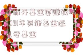 买新开基金更赚钱吗,2021年买新基金还是老基金