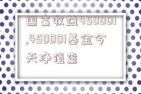 国富收益450001,450001基金今天净值查