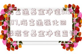 海富通基金净值519007,海富通强化回报混合基金净值查询