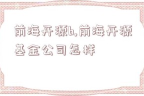 前海开源b,前海开源基金公司怎样