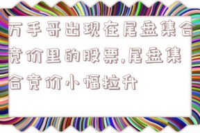 万手哥出现在尾盘集合竞价里的股票,尾盘集合竞价小幅拉升