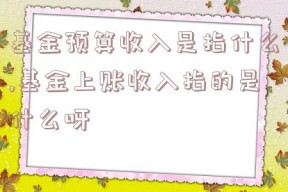 基金预算收入是指什么,基金上账收入指的是什么呀