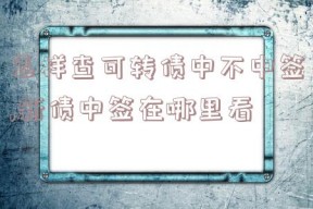 怎样查可转债中不中签,新债中签在哪里看