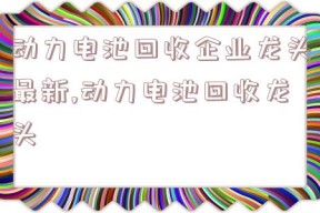 动力电池回收企业龙头最新,动力电池回收龙头