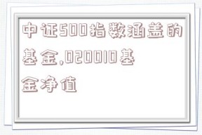 中证500指数涵盖的基金,020010基金净值