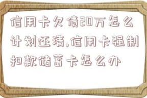 信用卡欠债20万怎么计划还清,信用卡强制扣款储蓄卡怎么办