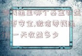 零钱通里哪个基金收益好更安全,微信零钱通1万一天收益多少