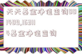 天天基金净值查询001409,163114基金净值查询