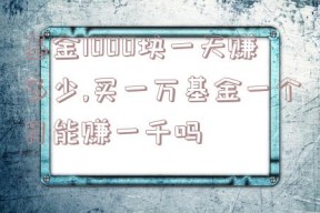 基金1000块一天赚多少,买一万基金一个月能赚一千吗