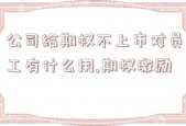 公司给期权不上市对员工有什么用,期权激励