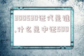 300530证代是谁,什么是中证500