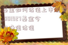 基金如何估值上市公司,001927基金今日净值估值