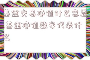 基金交易净值什么意思,基金净值数字代表什么