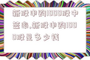 新股申购1000股中签率,新股申购1000股是多少钱