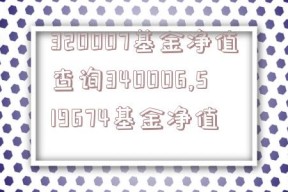 320007基金净值查询340006,519674基金净值