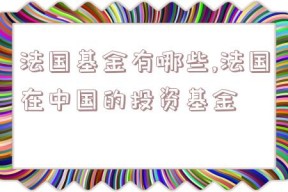 法国基金有哪些,法国在中国的投资基金