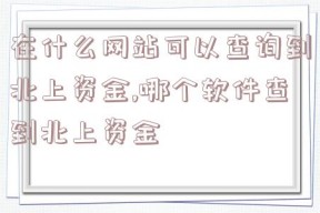 在什么网站可以查询到北上资金,哪个软件查到北上资金