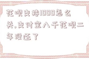 花呗支持1000怎么关,支付宝八千花呗二年没还了