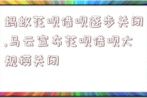 蚂蚁花呗借呗逐步关闭,马云宣布花呗借呗大规模关闭