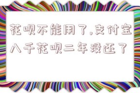 花呗不能用了,支付宝八千花呗二年没还了