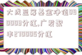 大成蓝筹基金净值090003分红,广发聚丰270005分红