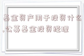 基金资产用于投资什么,公募基金投资经理