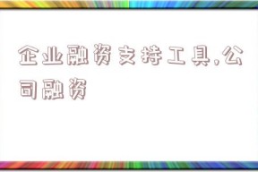 企业融资支持工具,公司融资