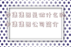 中集集团是做什么的,中集集团公司简介