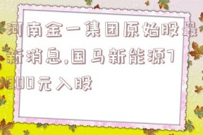 河南金一集团原始股最新消息,国马新能源7000元入股