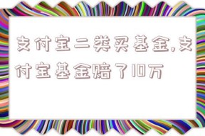 支付宝二类买基金,支付宝基金赔了10万