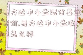 易方达中小盘混合基金评价,易方达中小盘收益怎么样