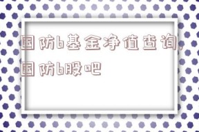 国防b基金净值查询,国防b股吧