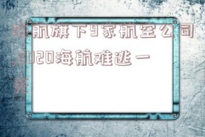 海航旗下9家航空公司,2020海航难逃一死